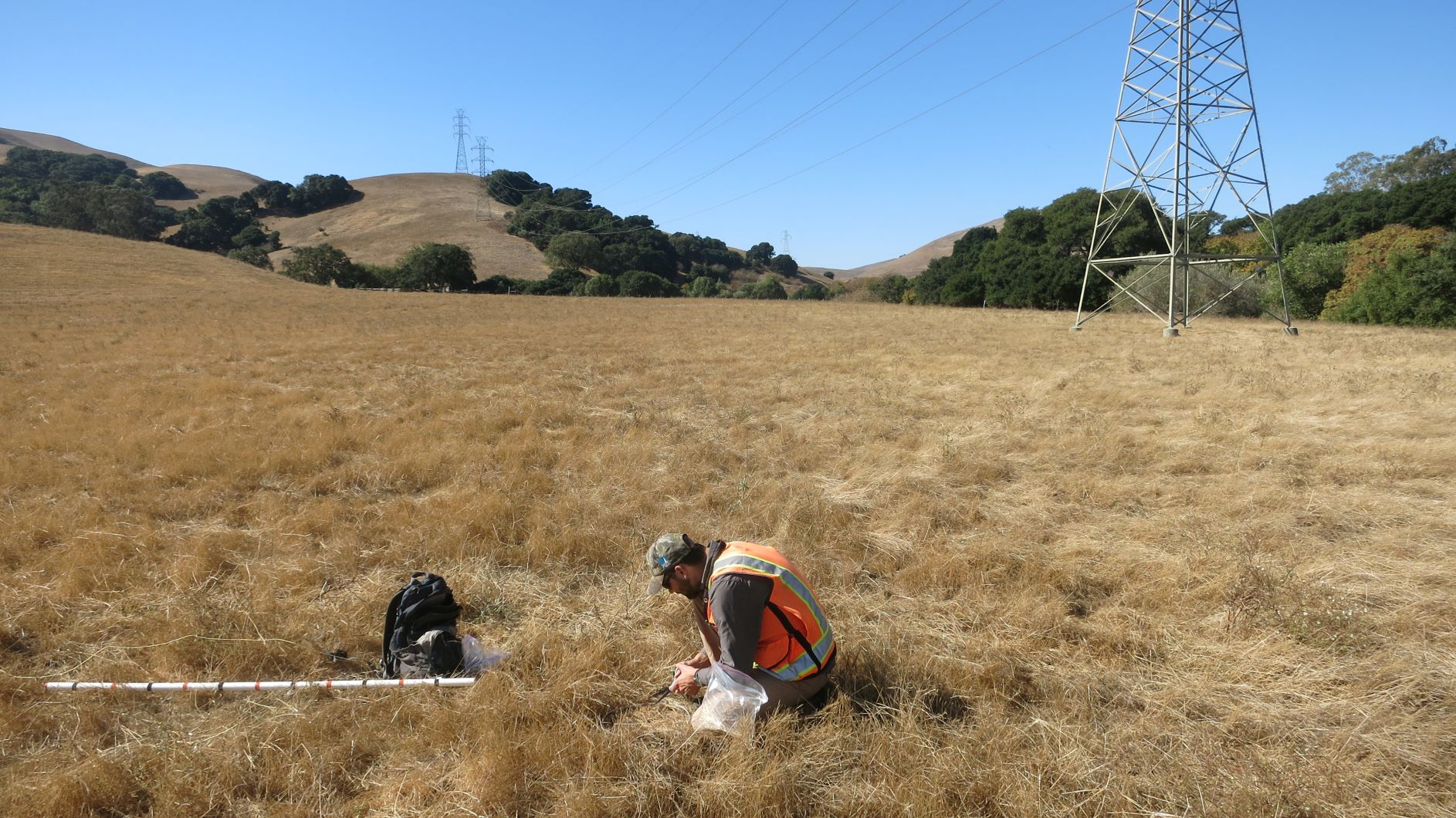 Sequoia's Principal, Tashi MacMillen, performing residual dry matter surveys to meet the requirements of a long-term management plan for a conservation easement in Monterey County.